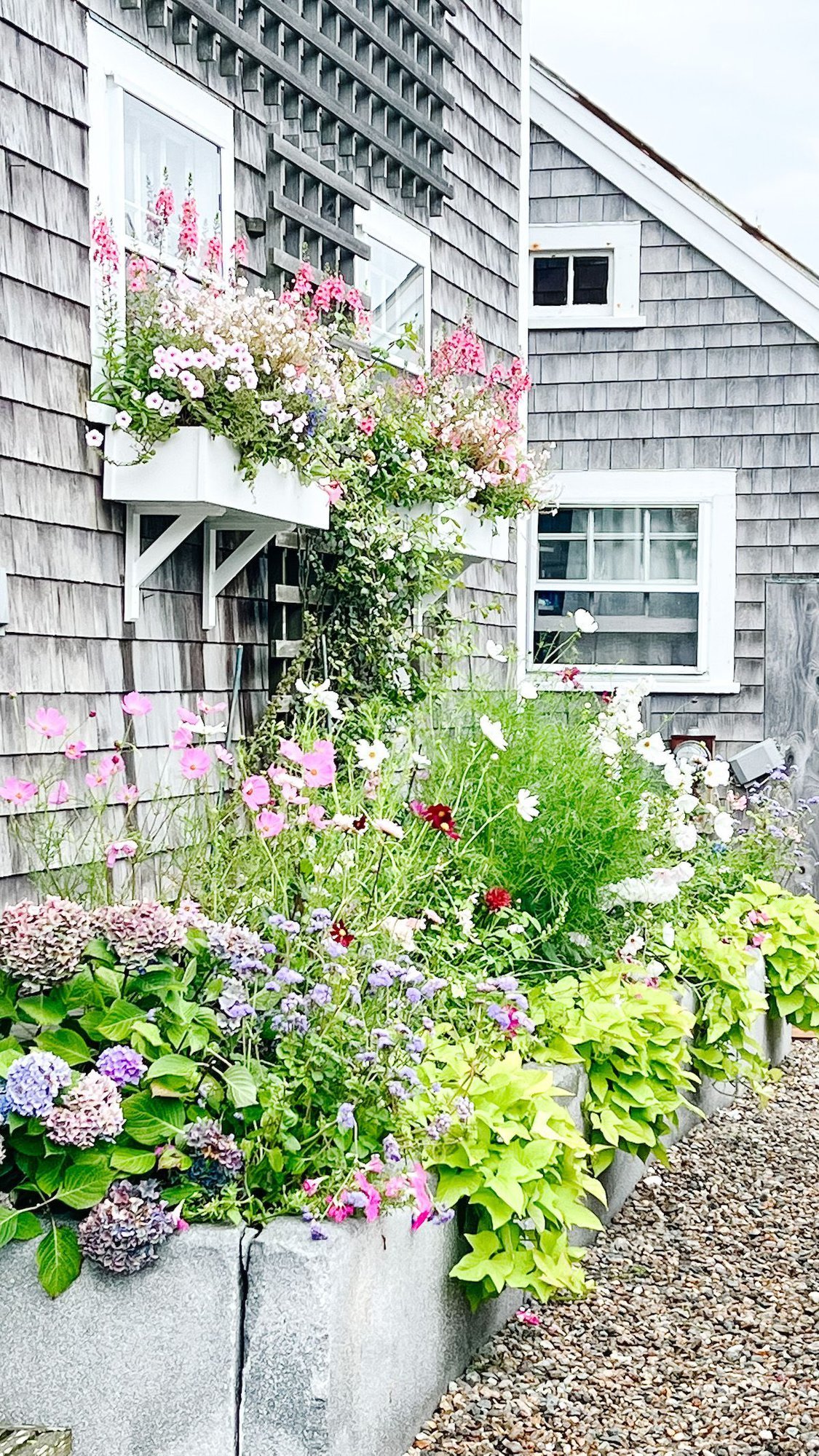 A flower garden in front of a shingled cottage on Nantucket