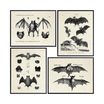 Amazon Halloween art
