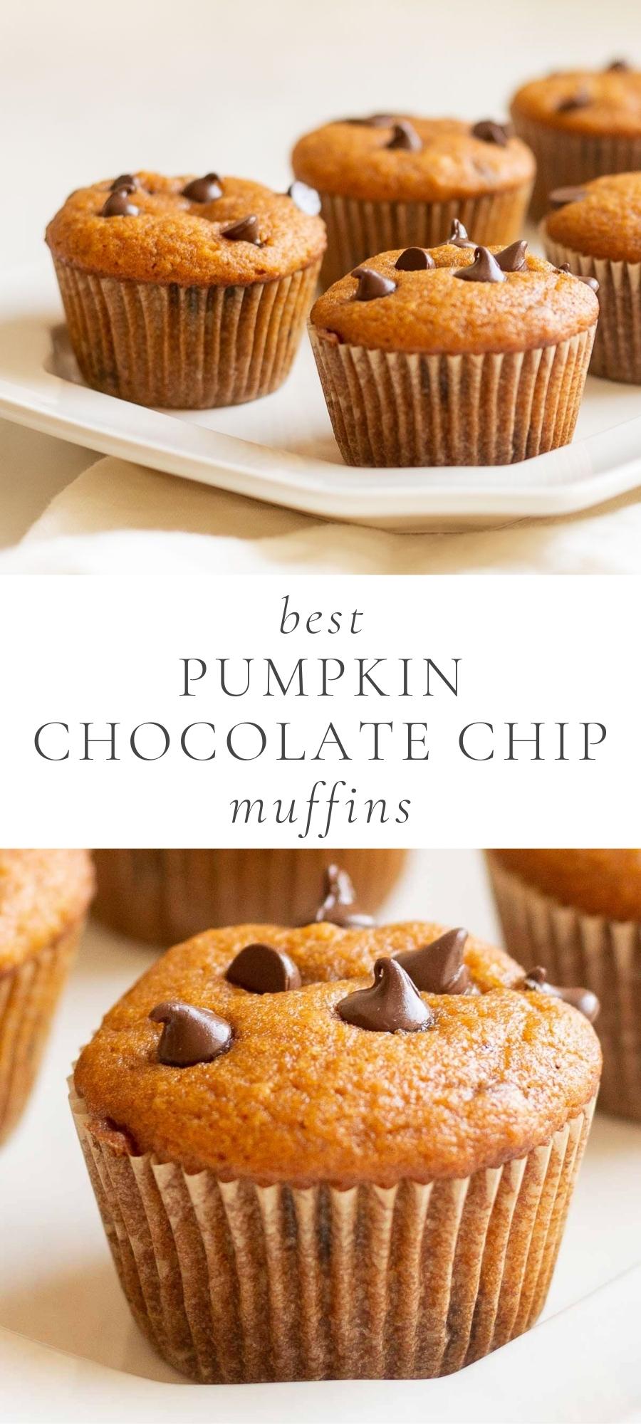 chocolate chip muffins on a white plate