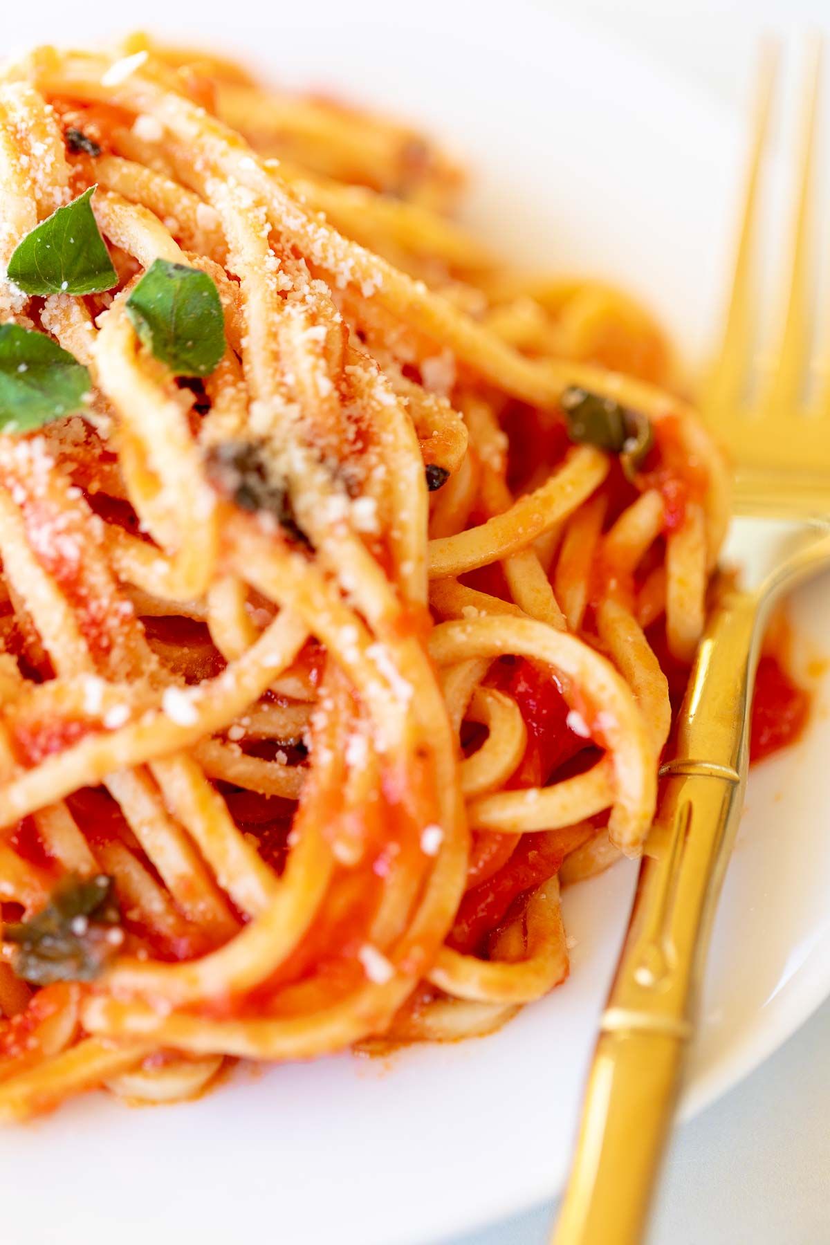 Spaghetti on a white plate, tossed in San Marzano tomato sauce, with a gold fork to the side.