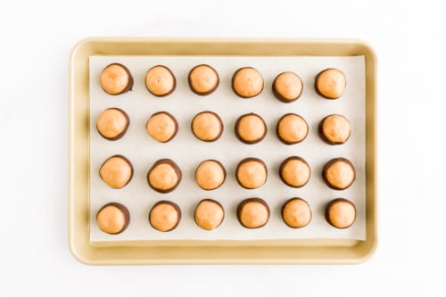 Buckeye peanut butter eggs in a tray on a white background.