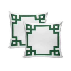 A green and white Amazon pillow cover.