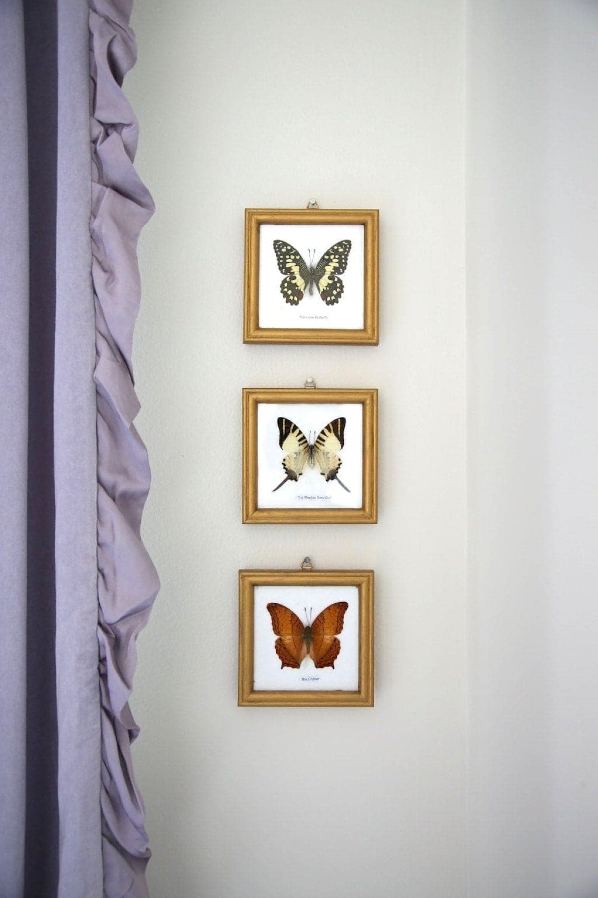 Three small butterflies framed in frames that are aged gold with rub n buff, next to a lavender curtain panel.