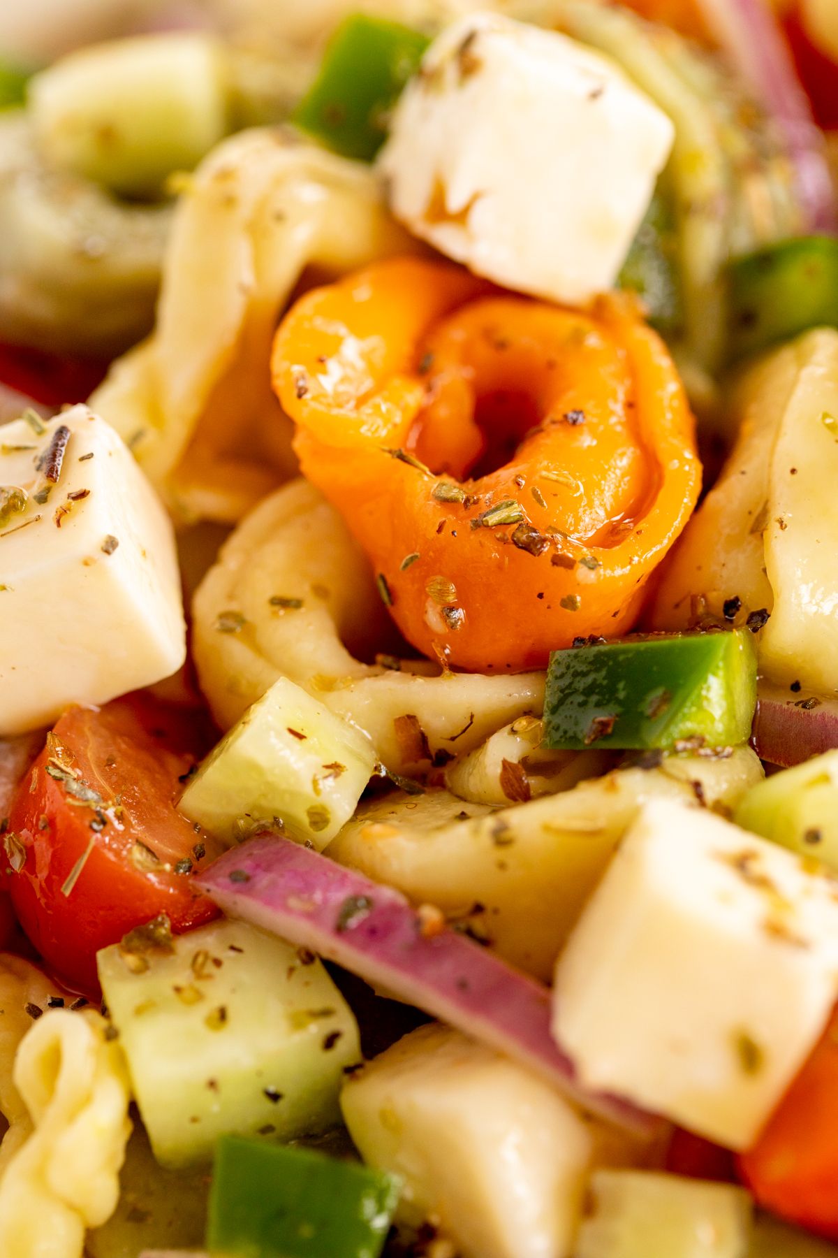 A close up of tortellini pasta salad.