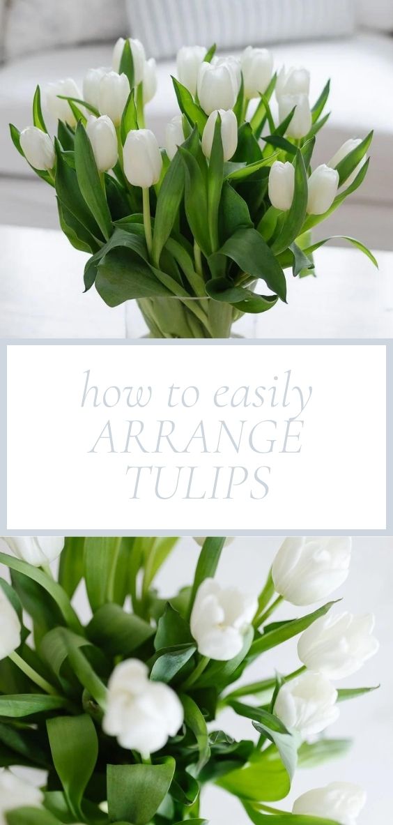 a picture of tulips in a vase and an overhead picture of tulips in a vase