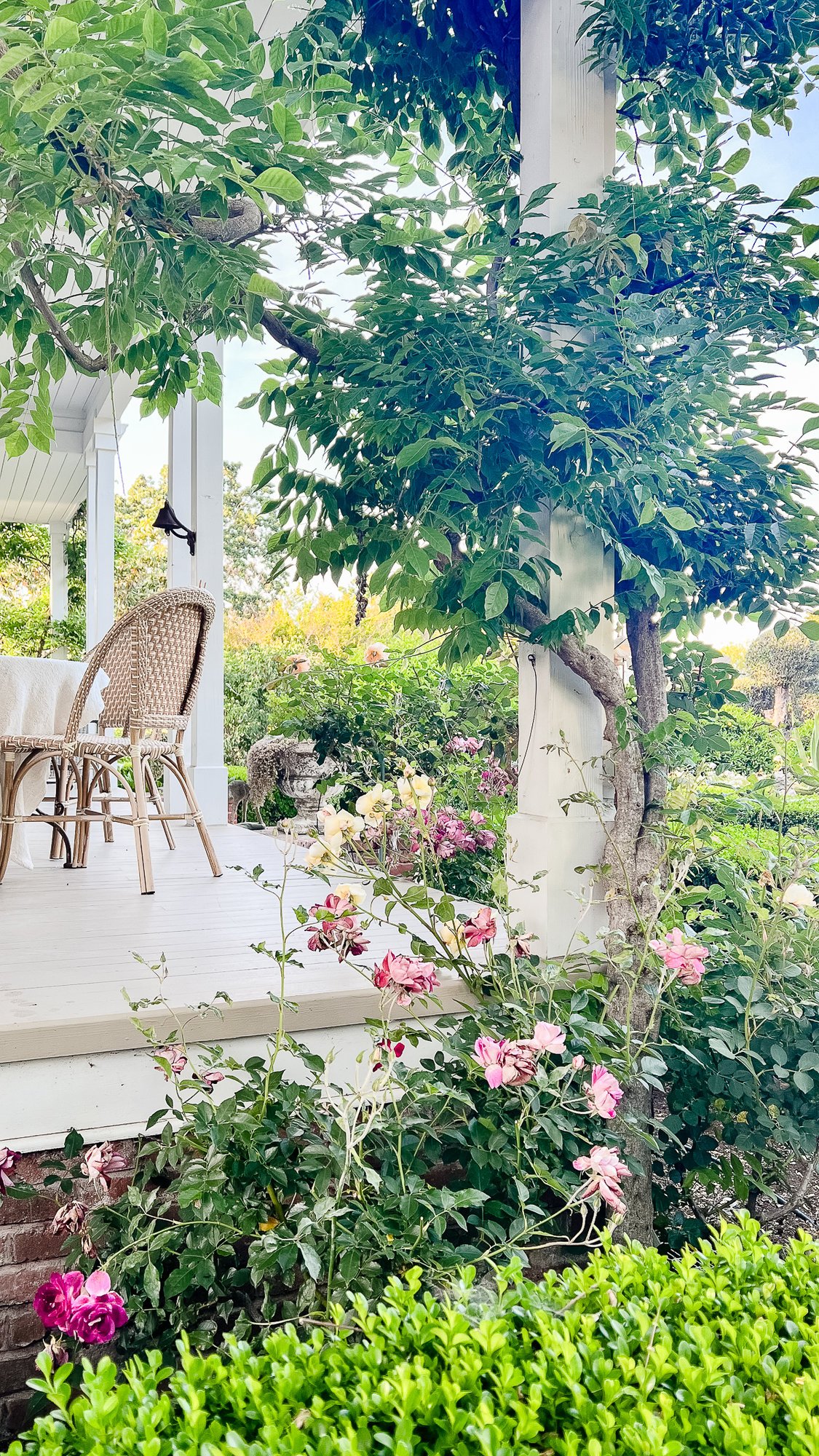 A deck, painted in a white color, surrounded by blooming landscaping.