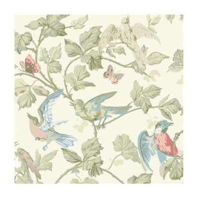 amazon wallpaper with birds