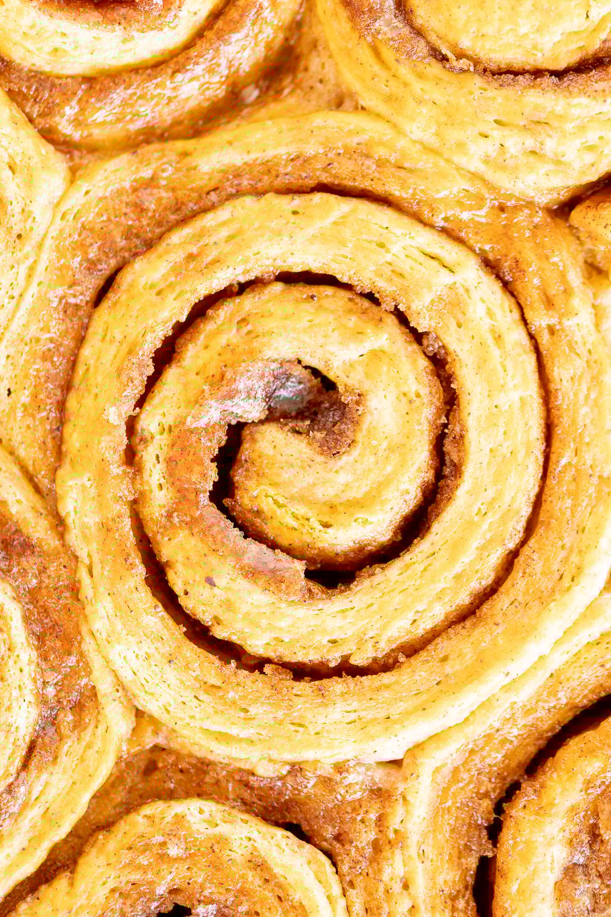 A close up of a Pumpkin Cinnamon Roll.
