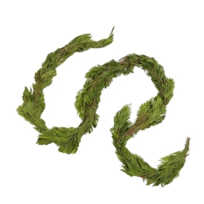 A green cedar garland on a white background.