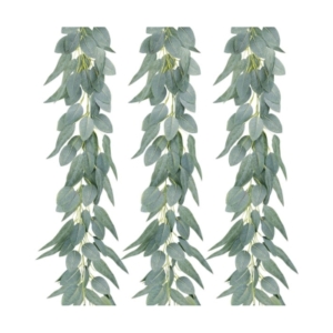 Three eucalyptus leaves hanging on a white background.