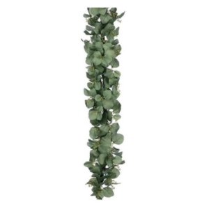 Eucalyptus garland on a white background.