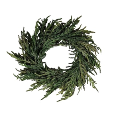 A green norfolk pine garland on a white background.