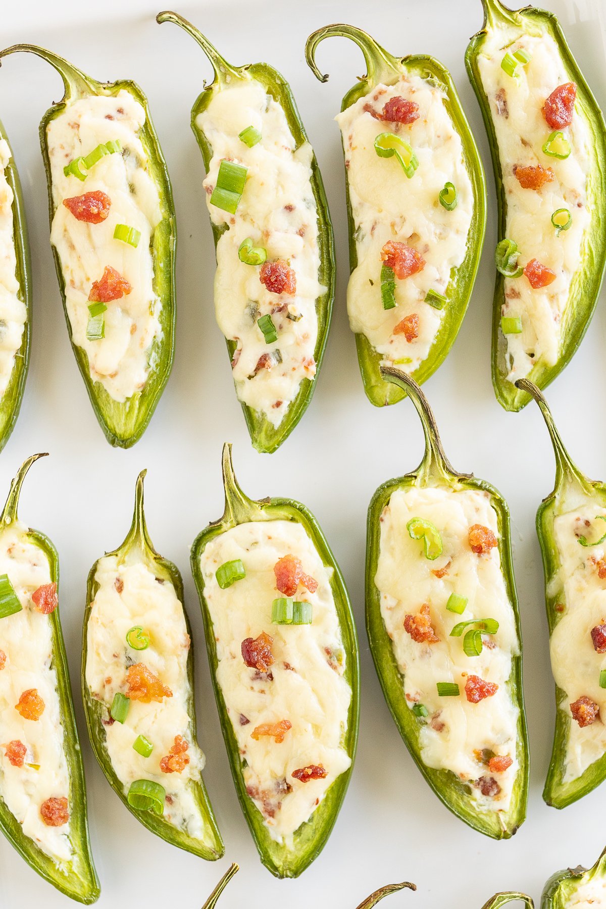 Stuffed jalapenos with cheese and green onions on a white plate.