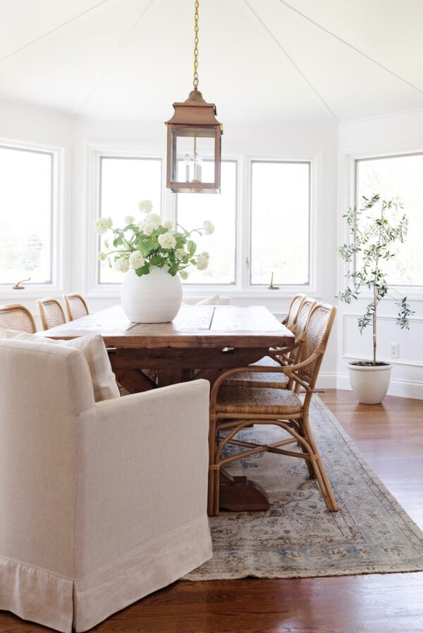 An indoor dining room with a white table and chairs enhanced by the presence of an olive tree.