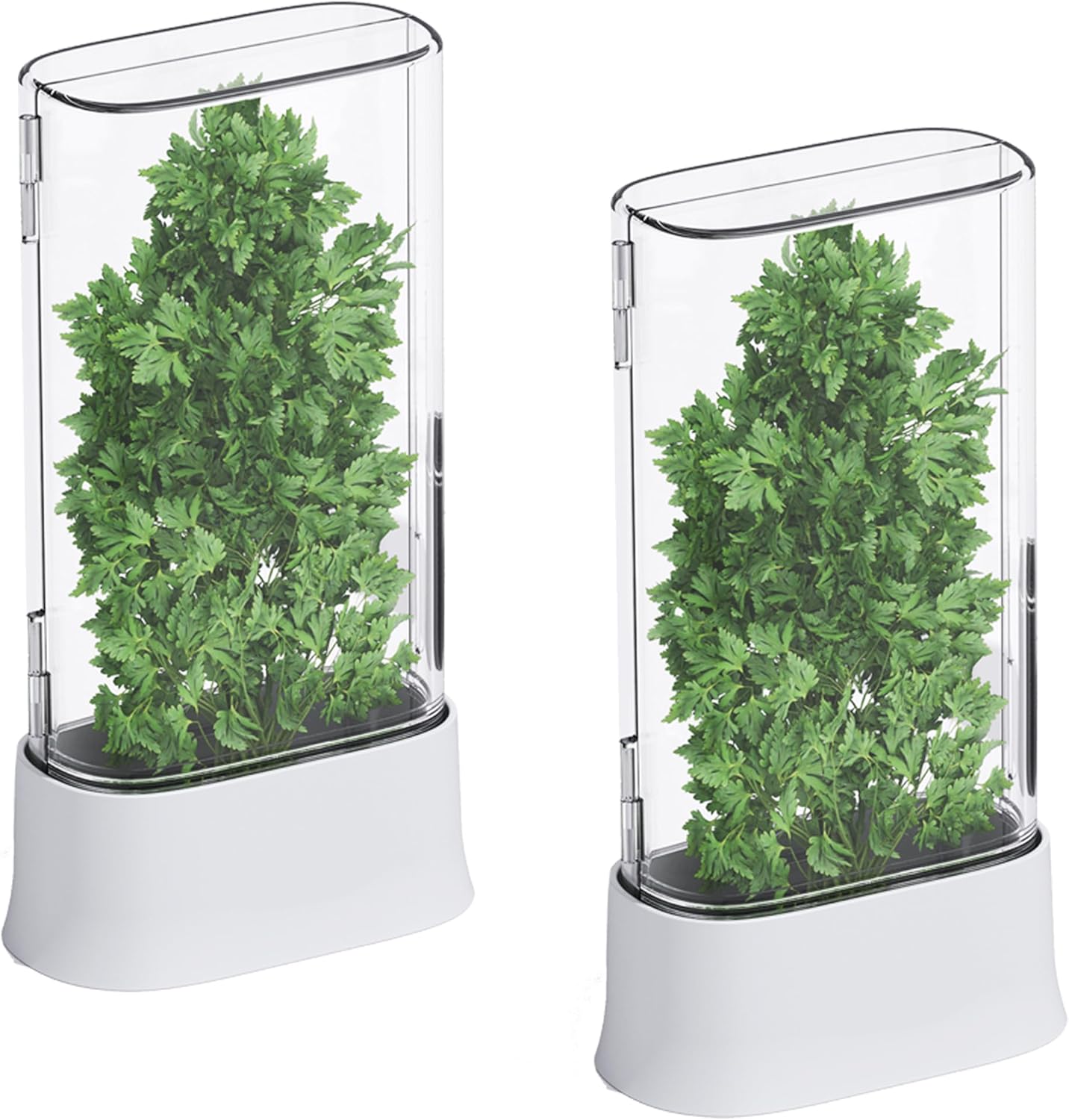Two innovative kitchen gadgets with clear lids and white bases, each designed to keep fresh green parsley vibrant and ready for your culinary creations.
