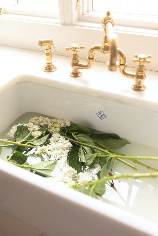 hydrangea soaking in sink to revive them