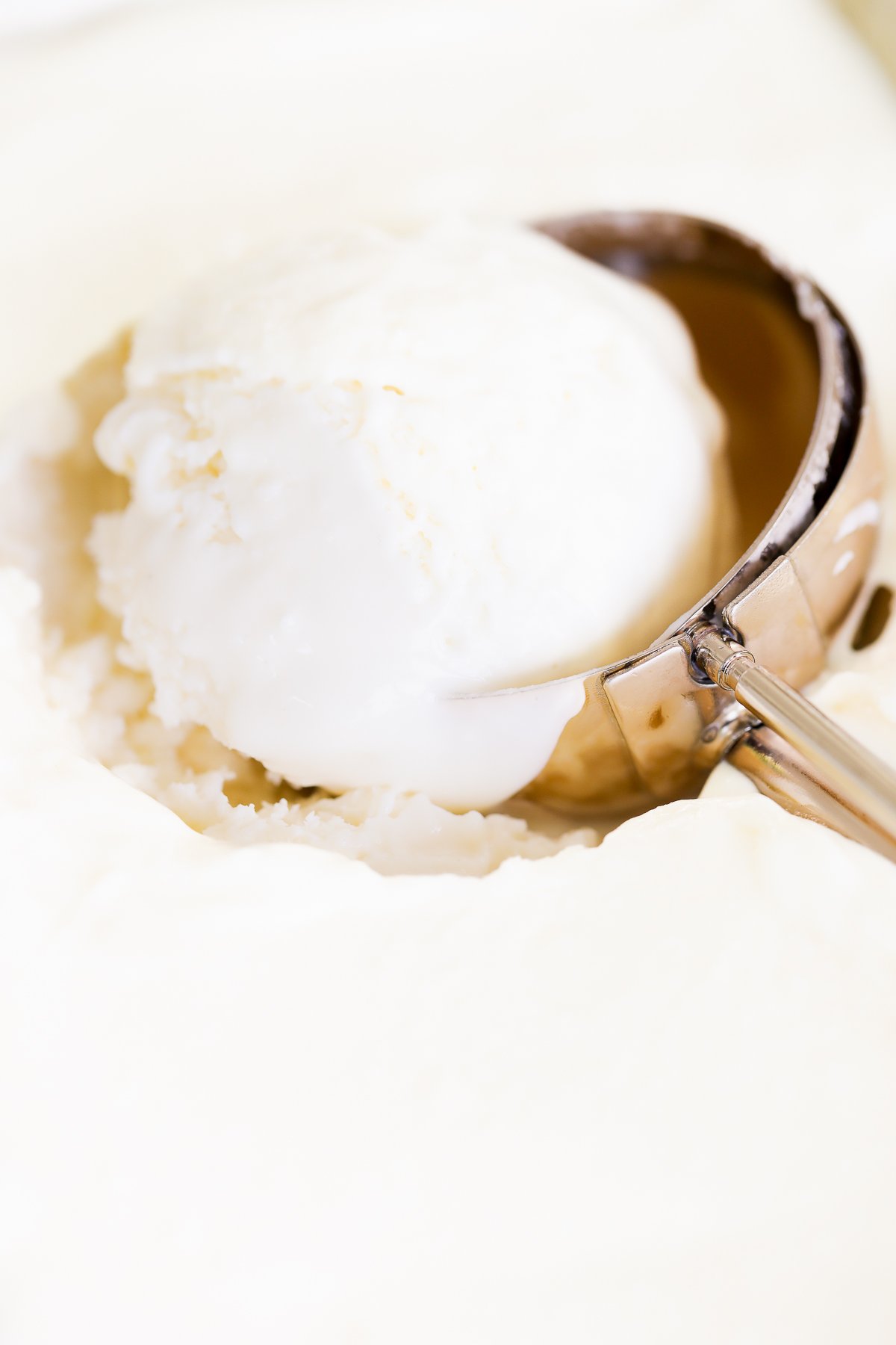 Close-up of a metal ice cream scoop holding a generous serving of gooey butter cake ice cream. The scoop is nestled in a larger container of this indulgent treat.